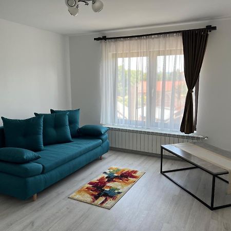 Casa Rafael Hotel Sighetu Marmaţiei Екстериор снимка