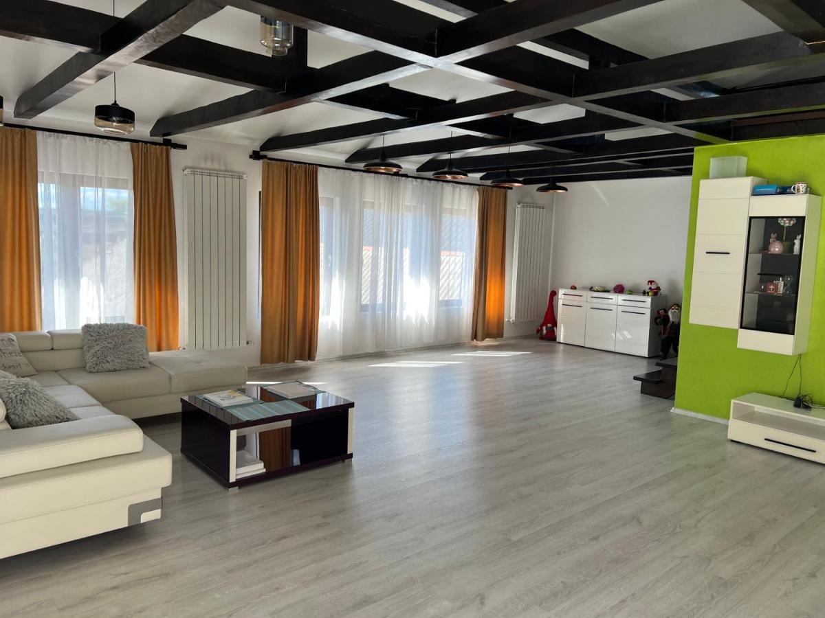 Casa Rafael Hotel Sighetu Marmaţiei Екстериор снимка