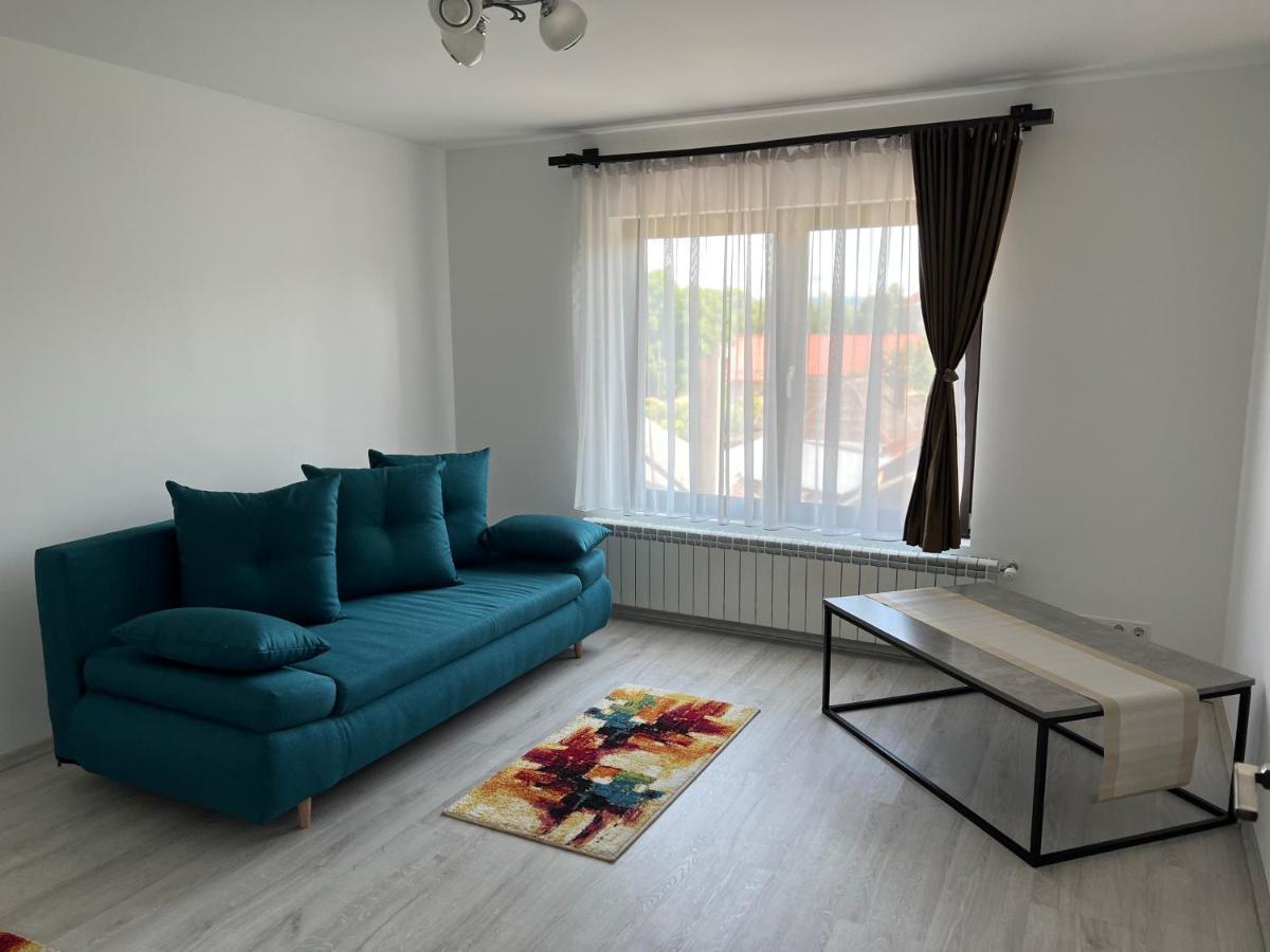 Casa Rafael Hotel Sighetu Marmaţiei Екстериор снимка